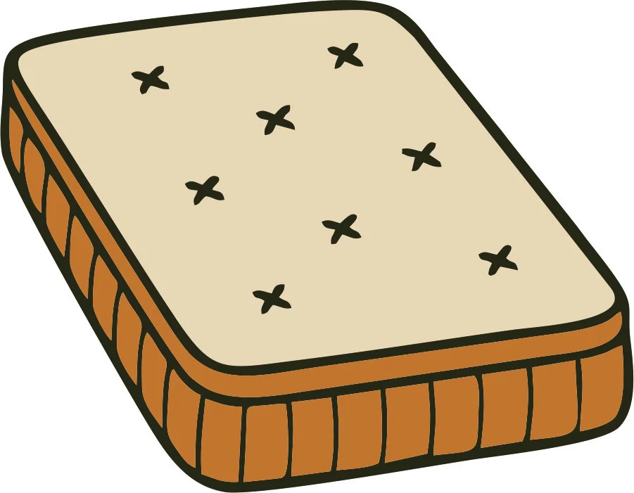 Professional Mattress Cleaning Service in Gurgaon Delhi NCR